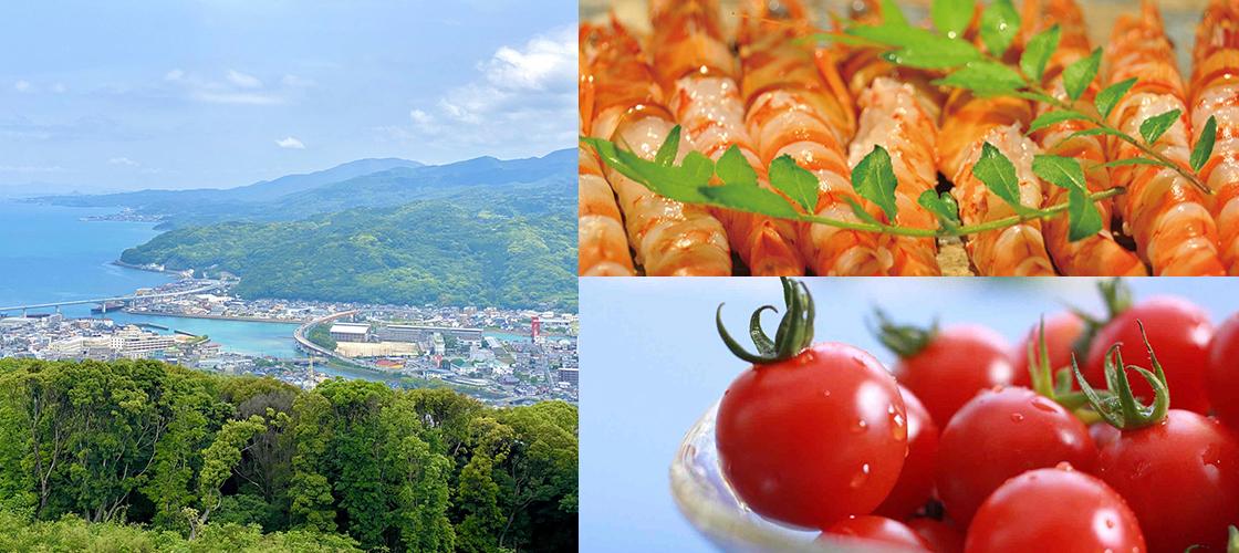 熊本県のカタログギフト